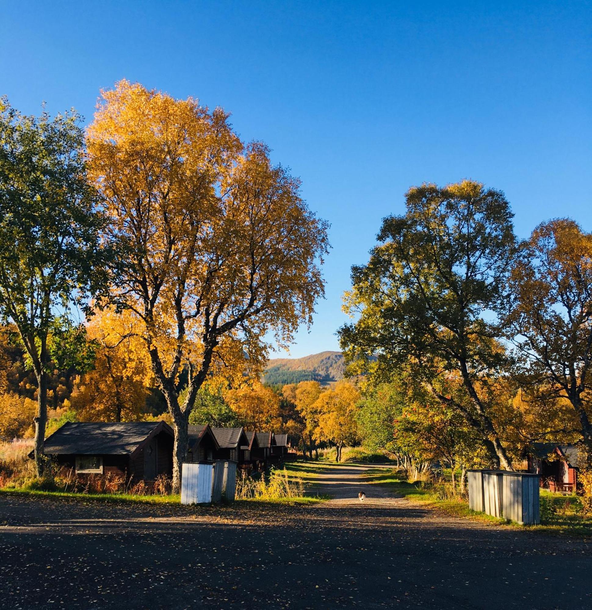 Sortland Camping Og Motell As Exterior foto