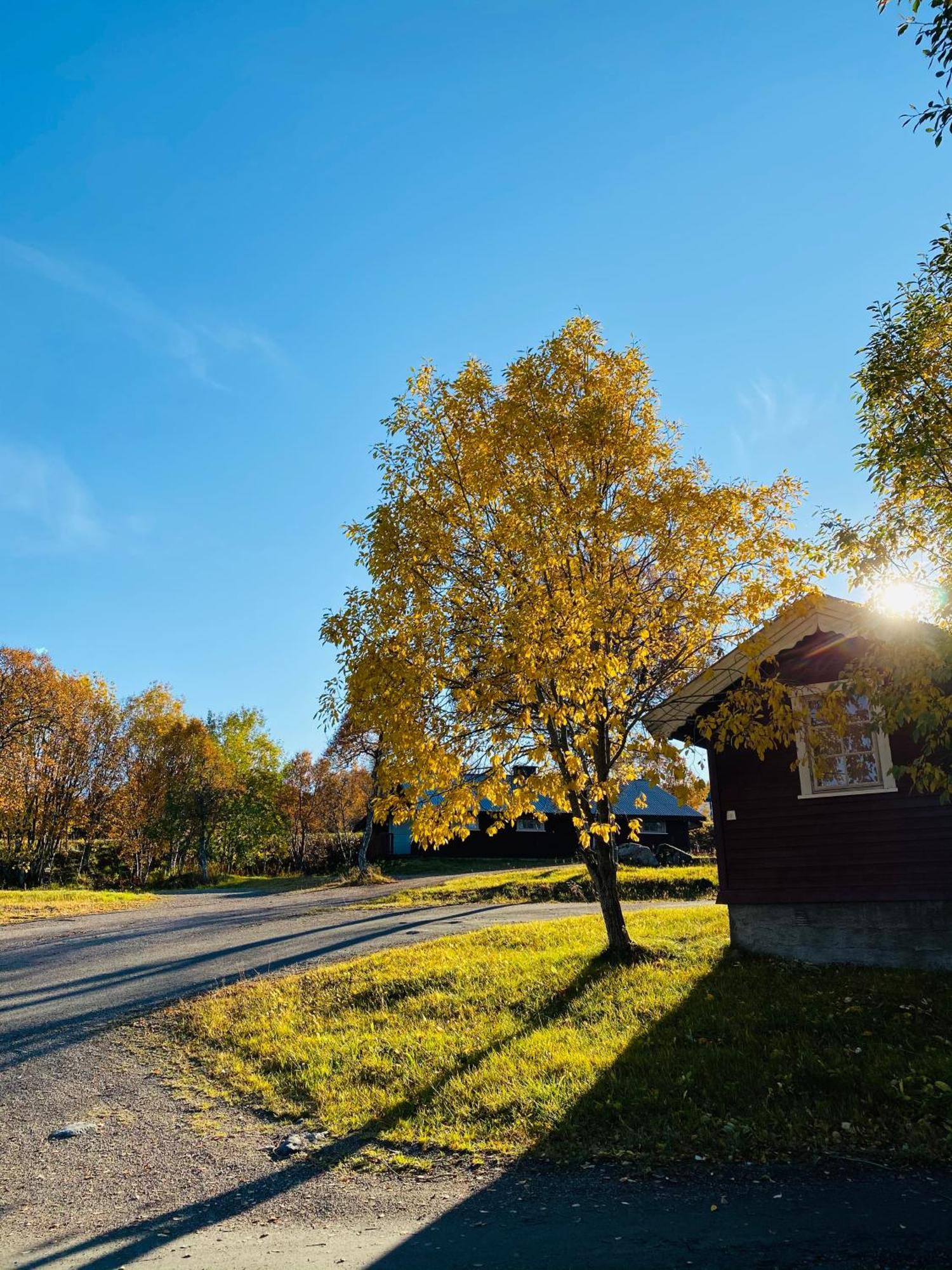 Sortland Camping Og Motell As Exterior foto