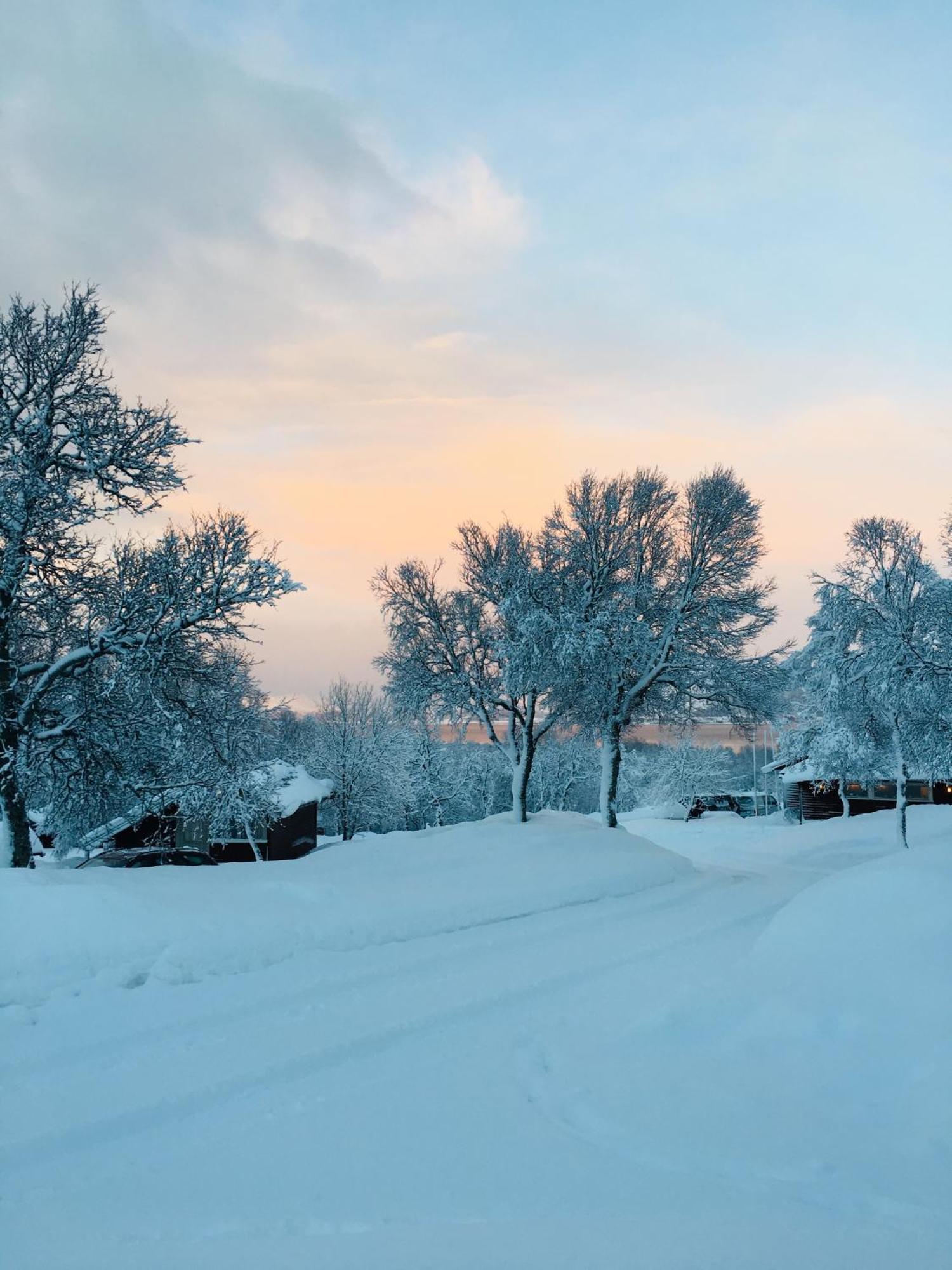 Sortland Camping Og Motell As Exterior foto