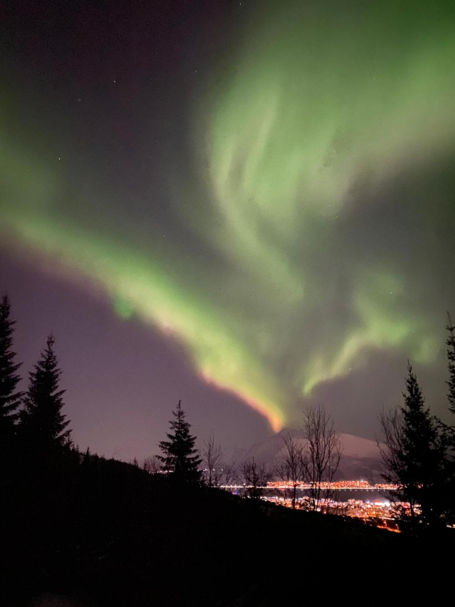 Sortland Camping Og Motell As Exterior foto